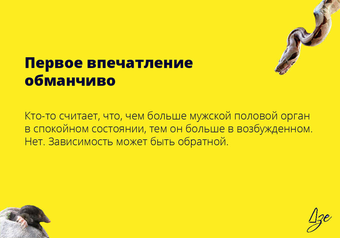 Какой размер считается нормальным: ярославский сексолог разоблачил главный миф о мужчинах