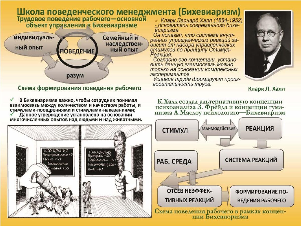 Поведение человека программирует только среда по схеме стимул реакция утверждает