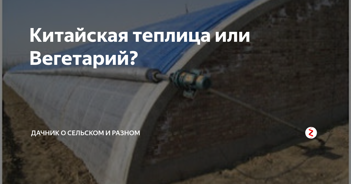 Китайская теплица или Вегетарий? | Михаил Ермаков (ДАЧНИК О СЕЛЬСКОМ И ...