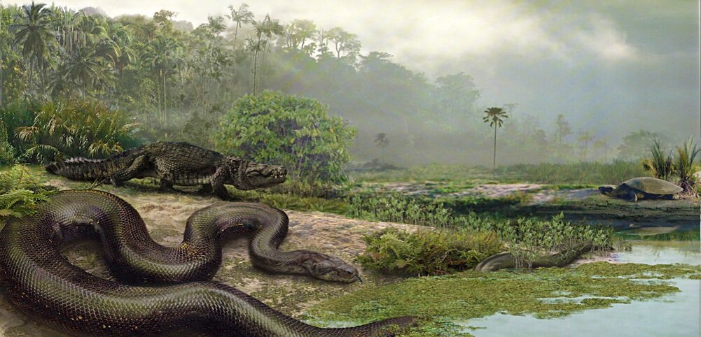 12 фото самых больших змей в мире с описанием