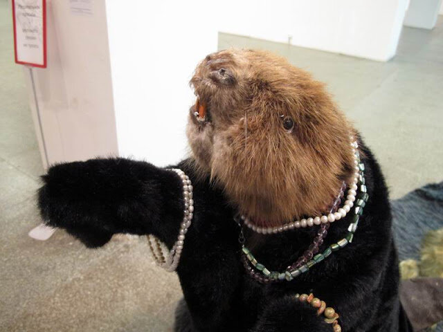 Бобер Цветкова