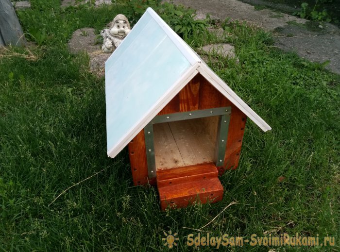 Dog House Diy Plans