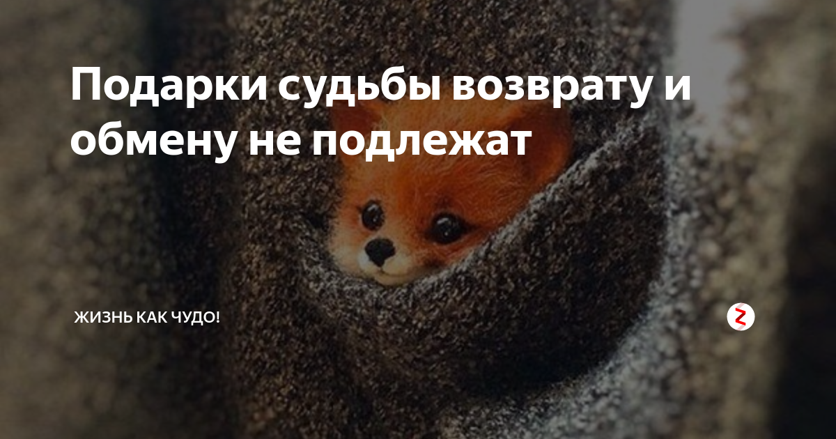 Картинки сегодняшний день обмену и возврату не подлежит