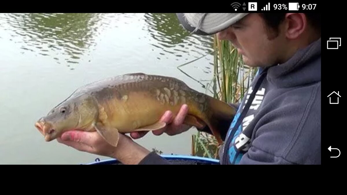 фото трофей карп на оснастку для фидера 