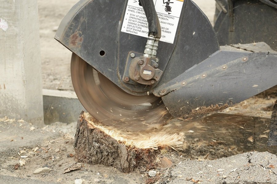  Фото пресс-службы администрации Иркутска