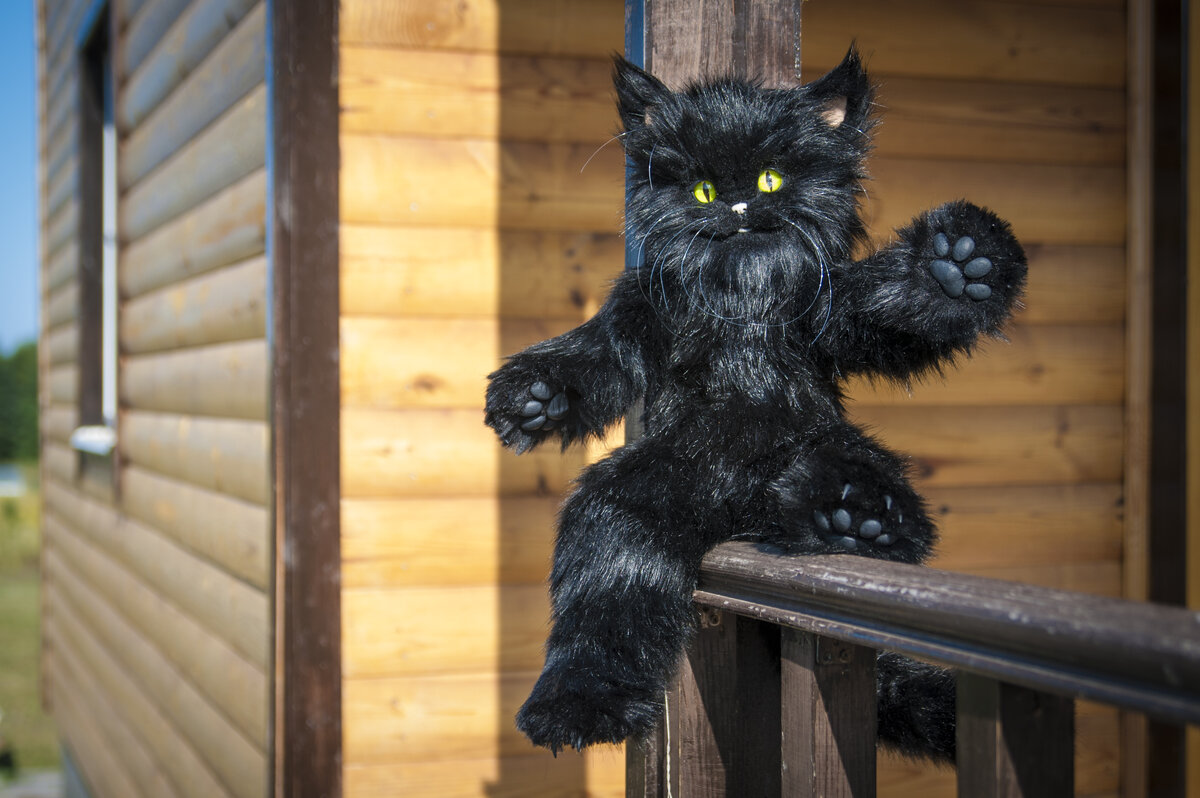 Живые вещи кот Бегемот