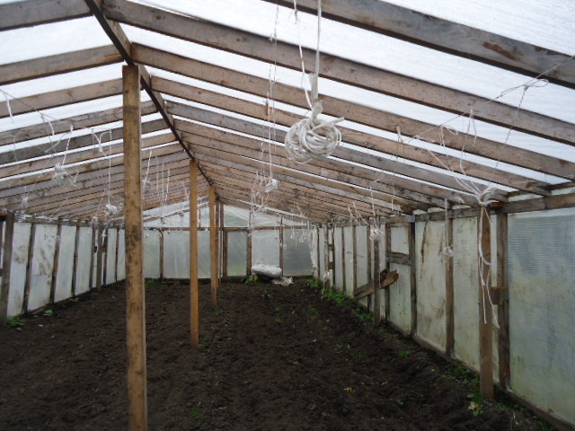 Веревочки в кадре, свисающие с верху - это для подвязывания огурцов. И к данной теме отношения не имеют.