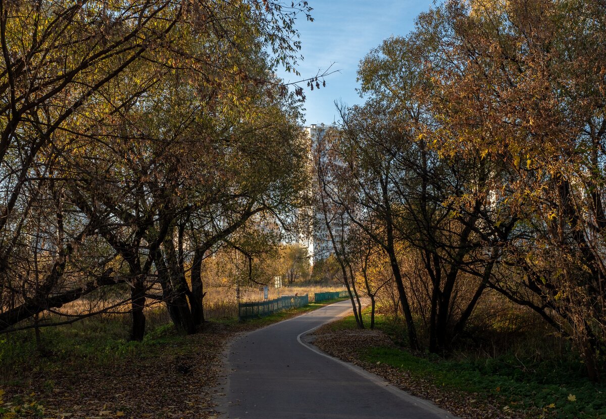 деревня кожухово москва