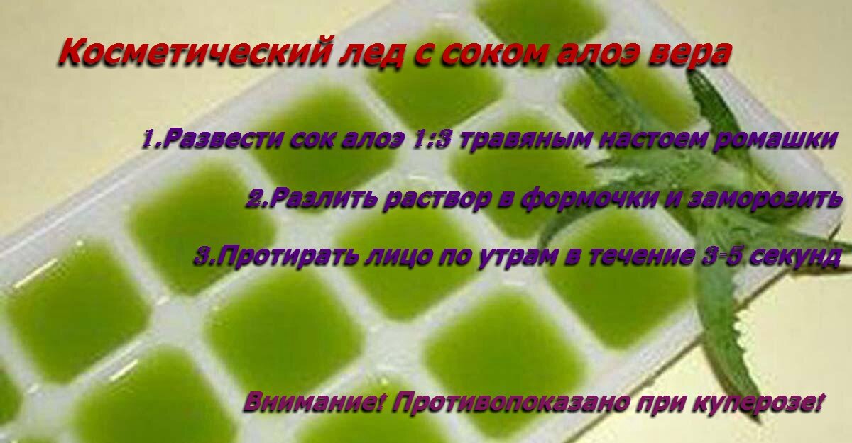 Все фото взяты из свободных источников