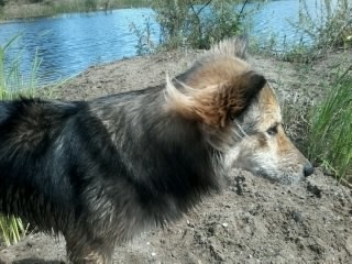 -2