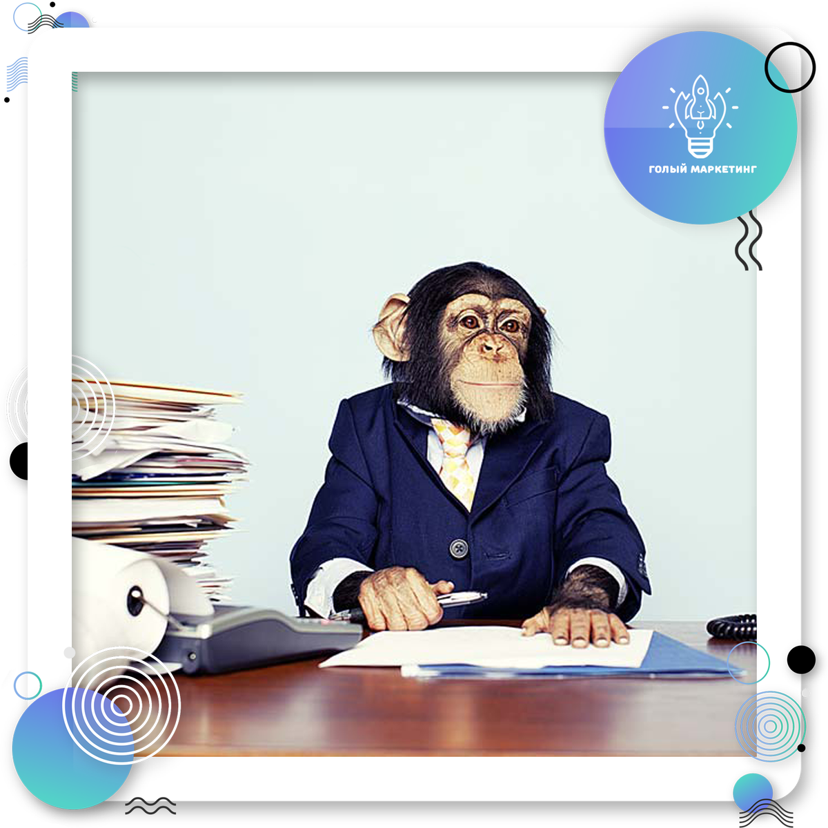 Главное - найти свое призвание и занять нужное место