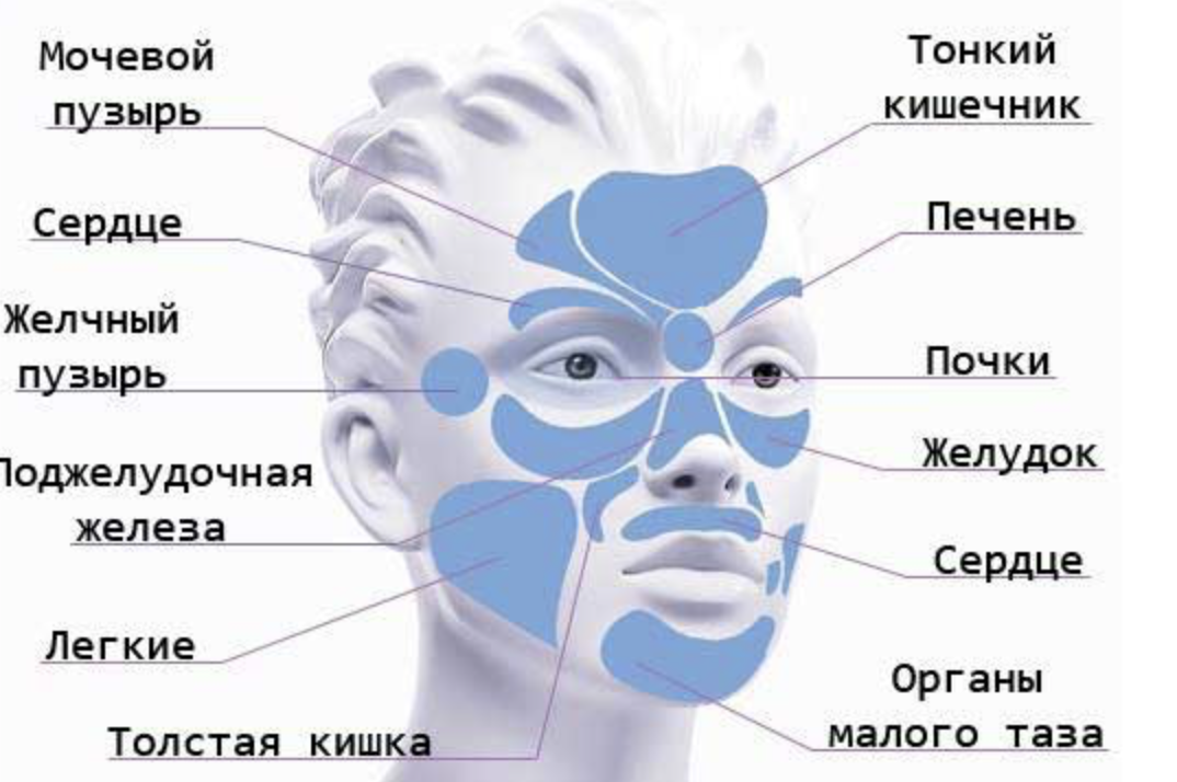 Значение прыщиков. Схема органов на лице. Зоны расположения прыщей. Карта прыщей на лице. Заболевания по прыщам на лице.