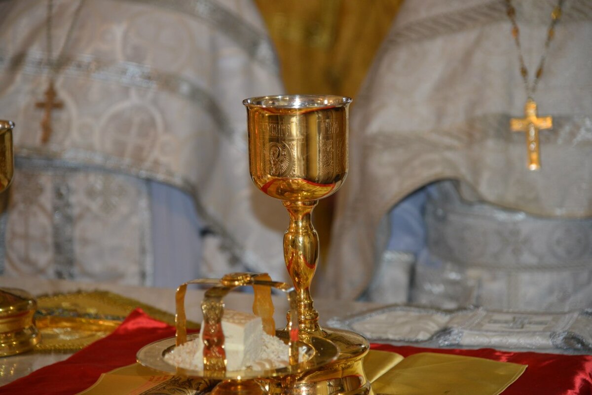 Фото из Яндекс картинки. 