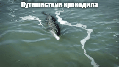 Видео с опыта!