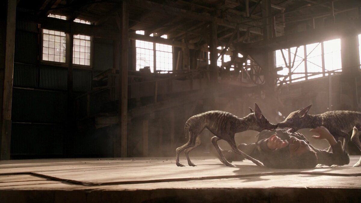 Мы не можем показывать фотографии чупакабры, дабы избежать шок-контента. Однако, мы можем предоставить вам кадр из фильма "Чупакабра против Аламо". Животные, которые были показаны в фильме похожи на настоящую чупакабру.