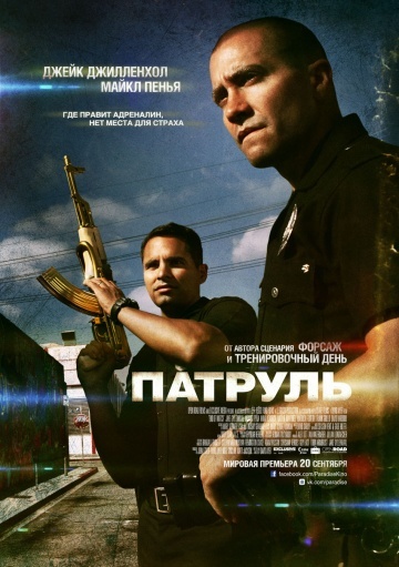 Фото из открытого доступа 