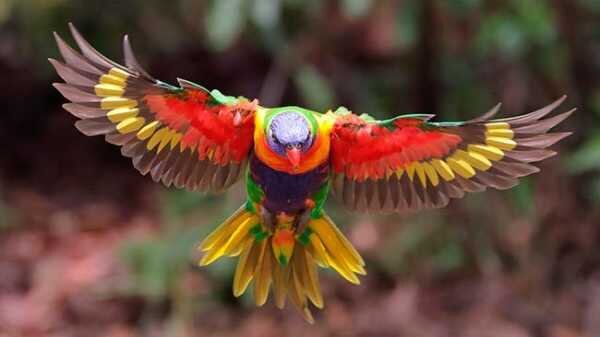 Фото из сети интернет