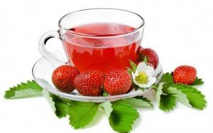 Лечебные качества и полезные свойства земляничного отвара можно применять следующим образом. Одну столовую ложку измельченного сухого растения нужно залить полулитром кипятка. Лучше всего использовать для этих целей термос или термокружку. Если же нет такой возможности, то траву необходимо подержать в течение десяти или пятнадцати минут на водяной бане, а после плотно укутать емкость с отваром и оставить на сорок минут, чтобы та настоялась. Полученный напиток следует пить на протяжении дня.