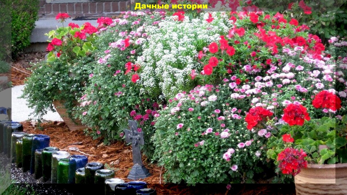 https://vk.com/photo-159774511_456241763