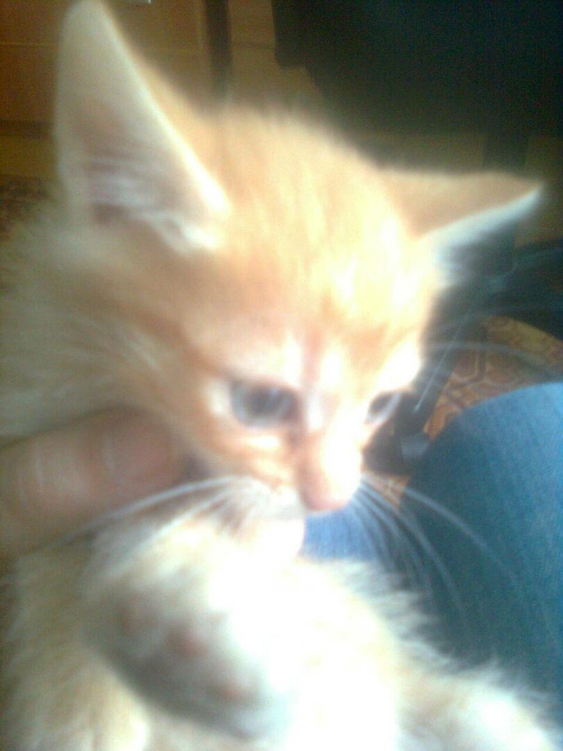 Это самая первая ее фотография, здесь ей чуть больше месяца