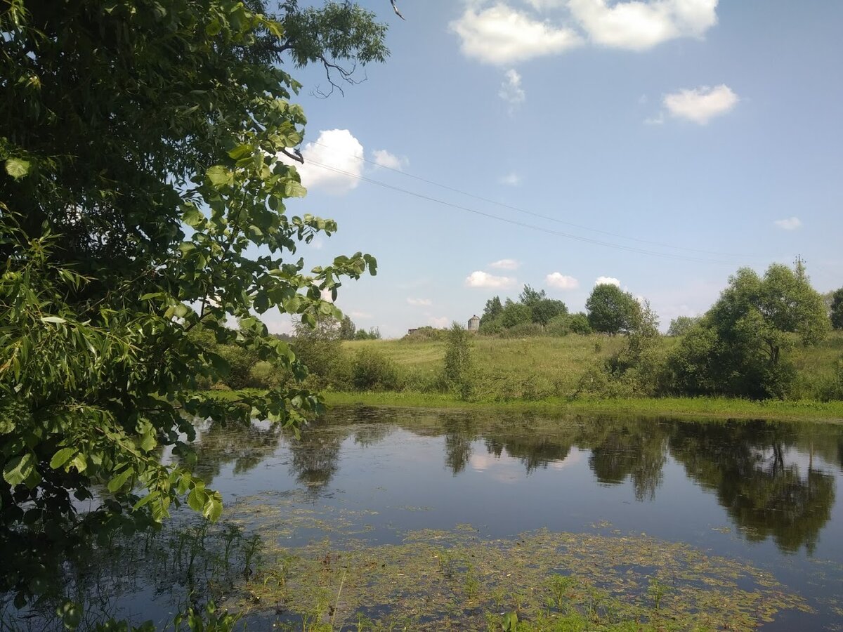 Наш пруд в деревне 