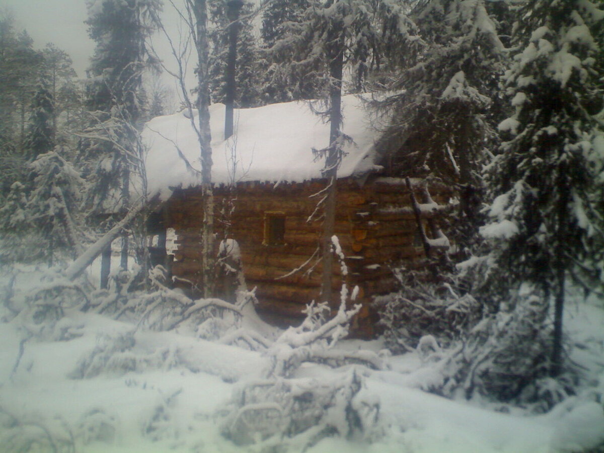 Фото из сети Интернет