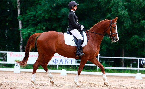 Фото из частной коллекции