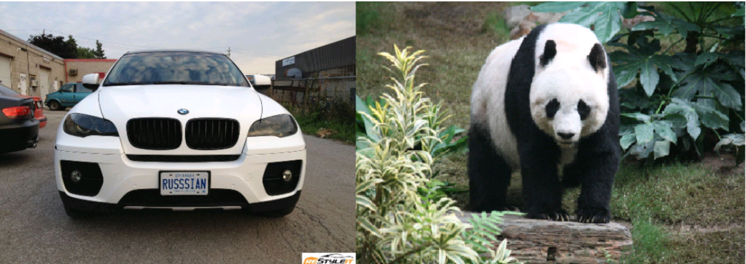 Панда правда покорила. Black x6 Phantom. BMW Панда. Панда БМВ х5. Машина похожая на панду.