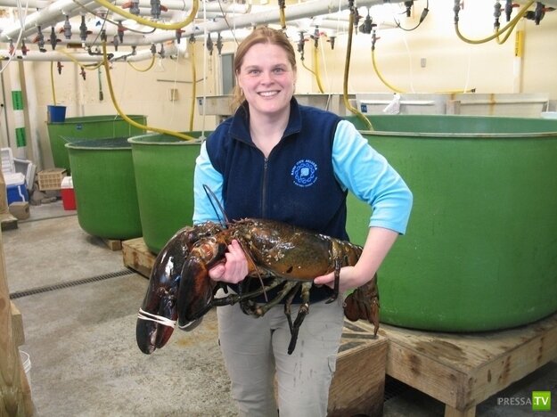 Фото взято из интернета
