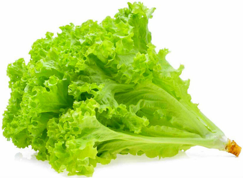 Зеленые культуры