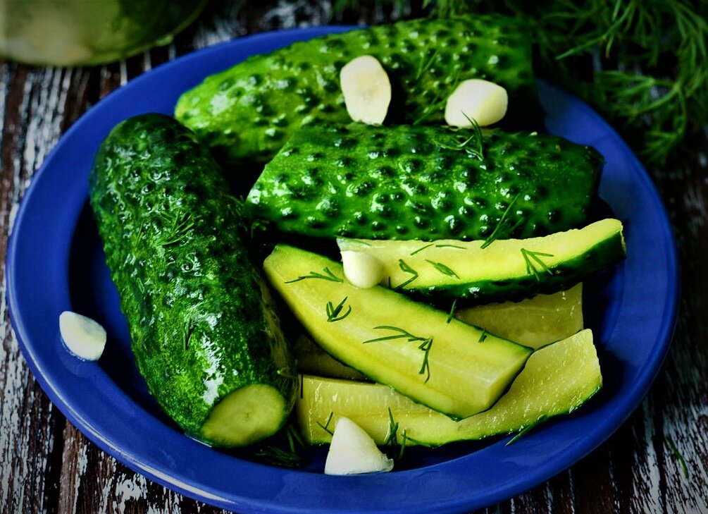 Фото с Яндекс картинок.