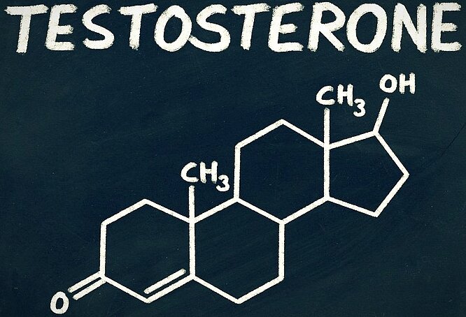 Как повышали тестостерон 30 лет назад. Дедовские методы