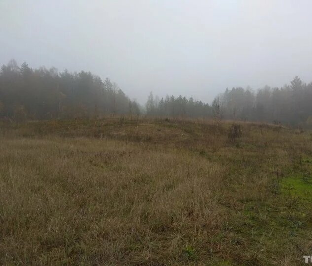 Сегодня это место выглядит так: 2 холма, поросших травой