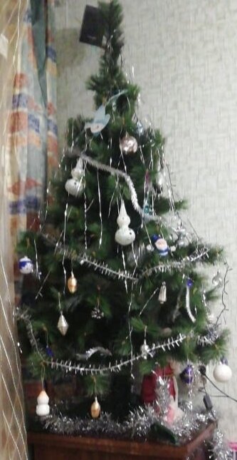 Моё личное фото с моей елкой