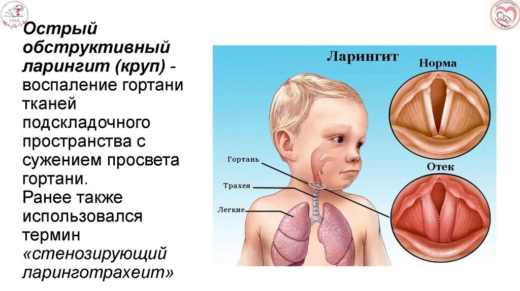 не забудьте подержать автора