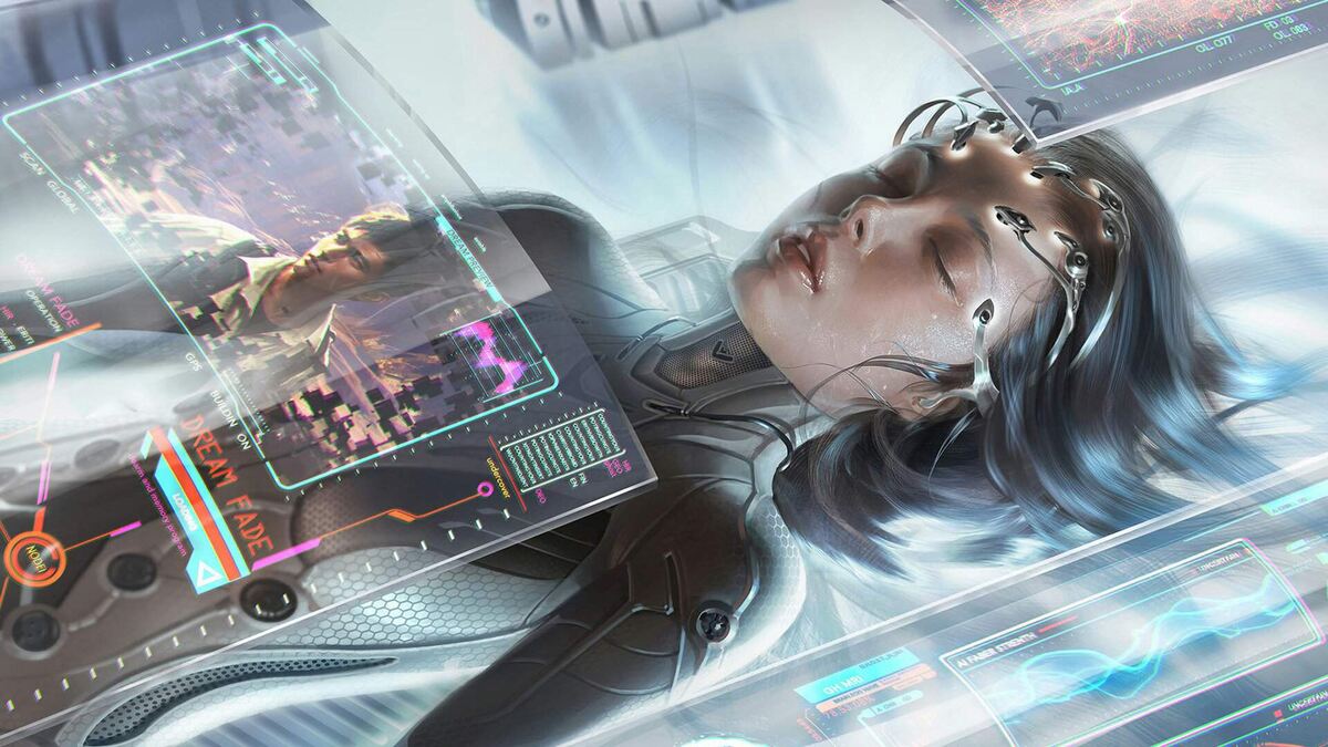 Фото из открытых источников