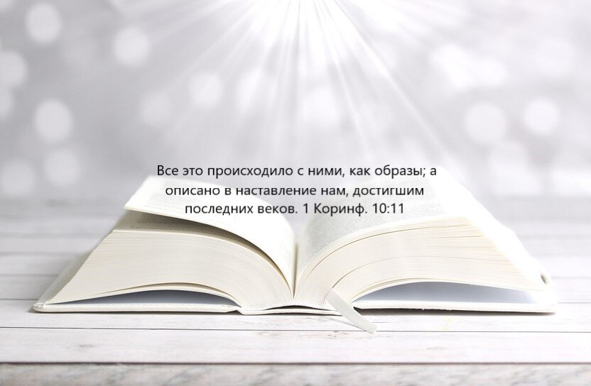 Семь пророчеств
