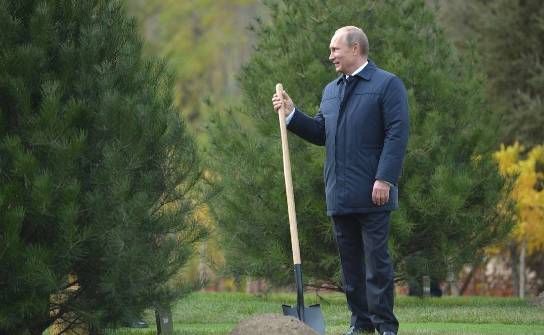 Картинка из свободного доступа