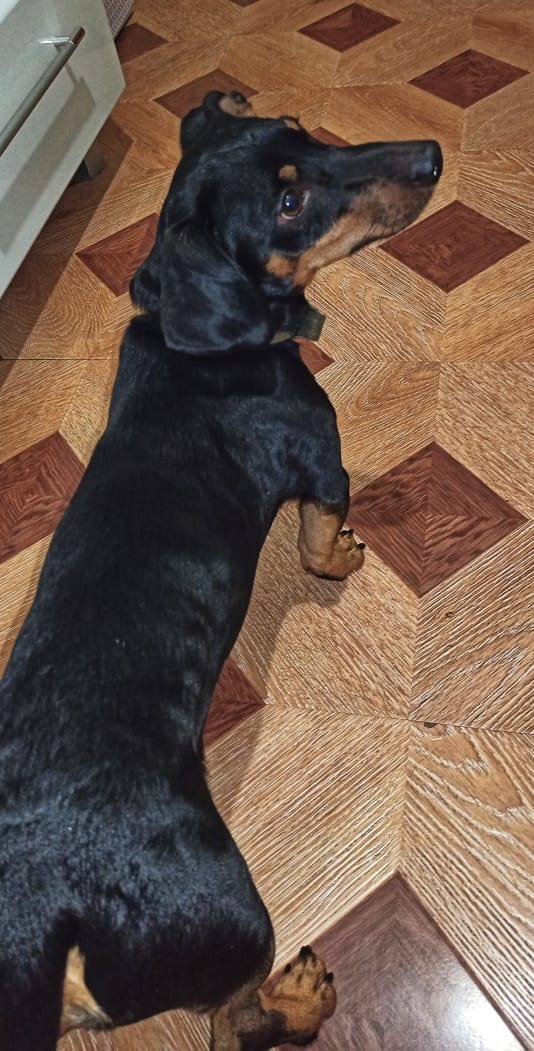 Хозяин жизни