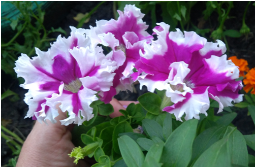 Ставьте лайки и подписывайтесь на мой канал.