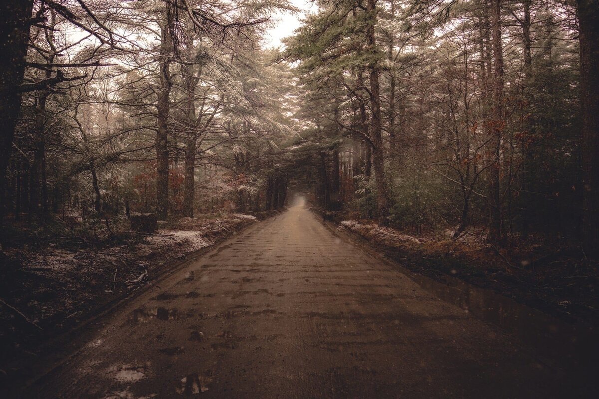 Photo by Osman Rana on Unsplash.com