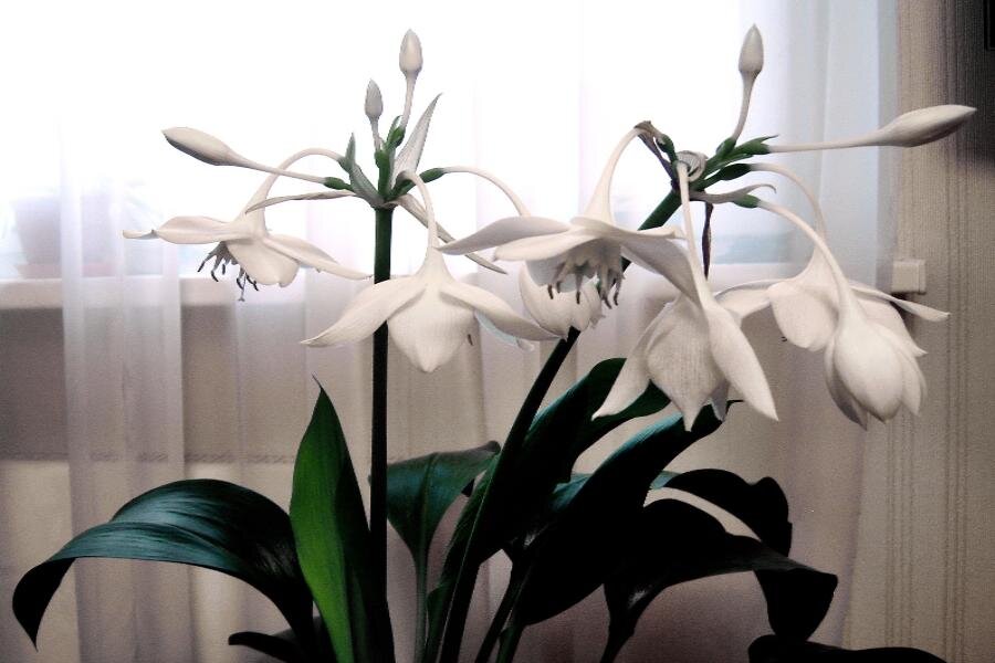 ФОТО «СПб ведомости»