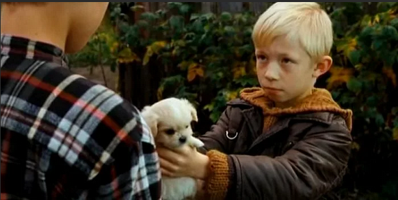 "Щенок" 2009 год