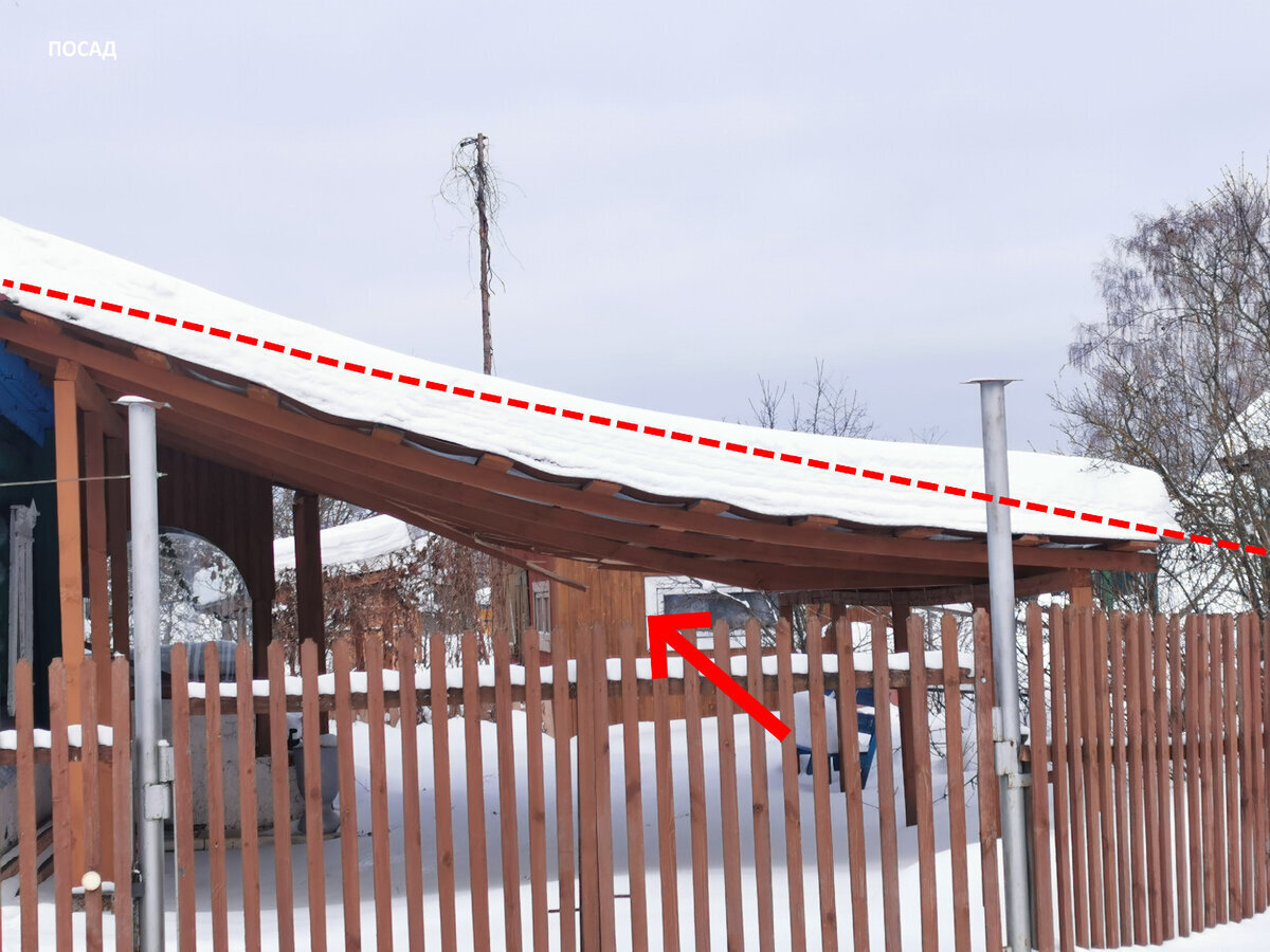 Фото с сети