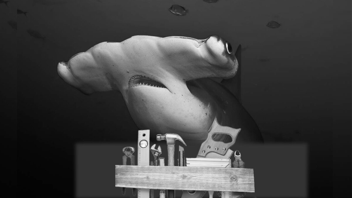 Кванч в мастерской