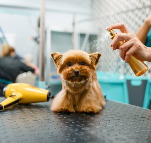 Экономичность и длительное использование