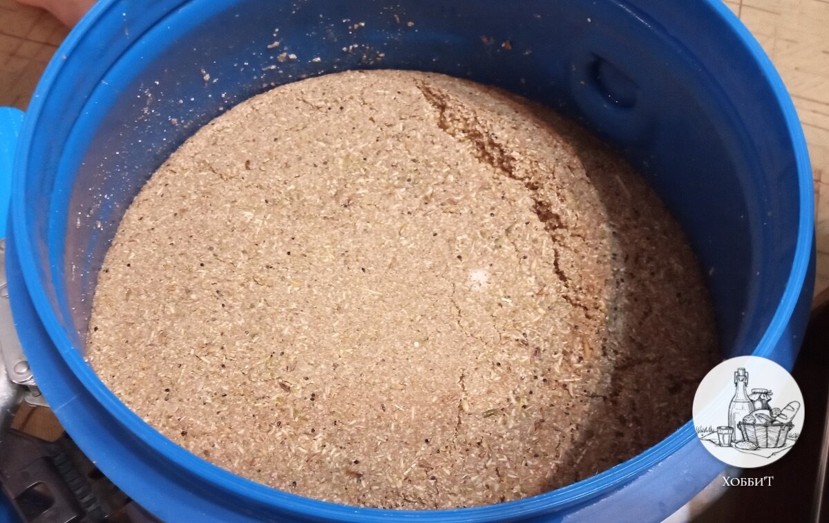 Шапка пшеничной браги