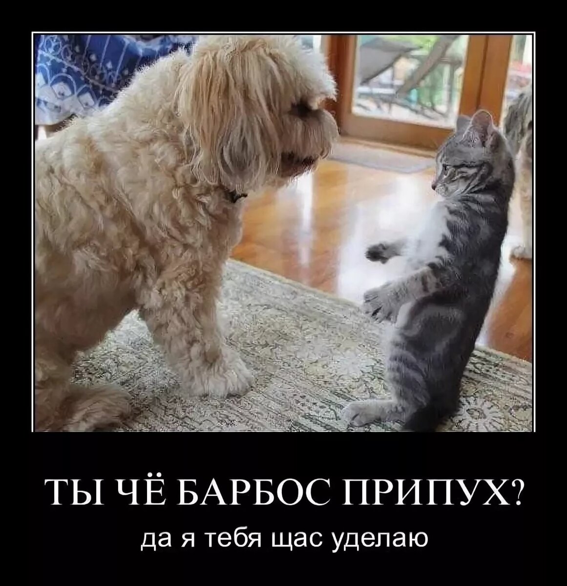 Картинки прикольные демотиваторы