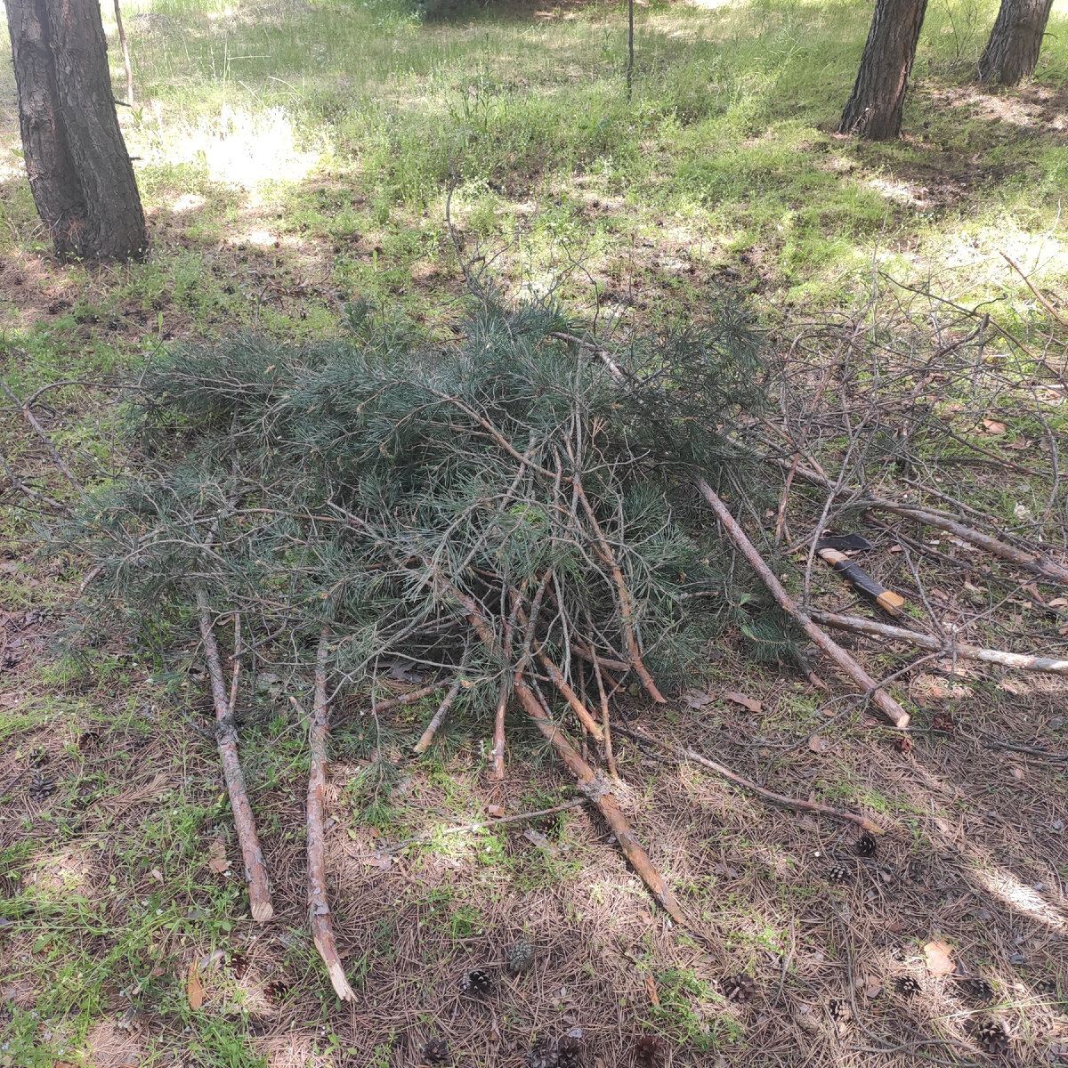 Это далеко не все, просто раньше почему то забыл сфоткать большую кучу веток.