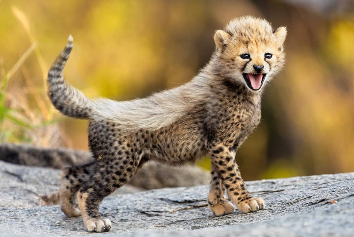 Фото: i.forfun.com